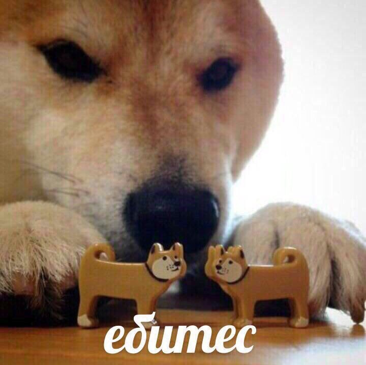 Тестовый шаблон
